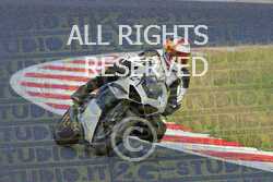 27 ducatinebl Panigale